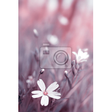 Фотообои - Ретро цветок