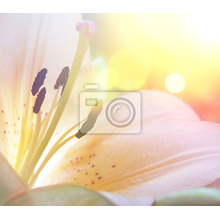 Фотообои - Винтажная лилия