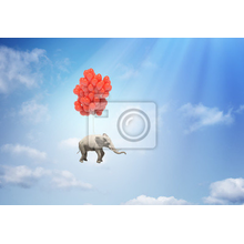 Фотообои - Слон на воздушных шариках
