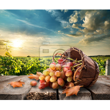 Фотообои - Корзина винограда