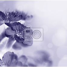 Фотообои - Макро цветок