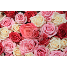 Фотообои с фоном из роз
