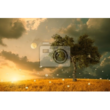 Фотообои на стену с волшебным деревом в поле