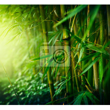 Фотообои с бамбуком (пейзаж)