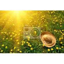 Фотообои с лучами солнца на зеленой траве и соломенной шляпой