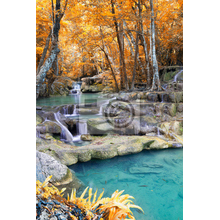Фотообои с лесным водопадом осенью