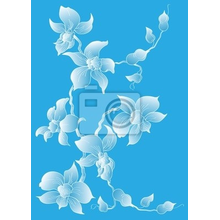 Фотообои с воздушными орхидеями (рисунок)
