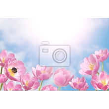 Фотообои с тюльпанами в лучах солнца