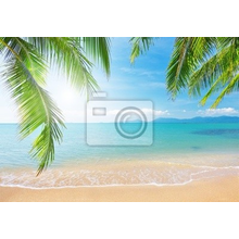 Фотообои - Пальма на тропическом пляже