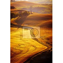 Фотообои с полем в Тоскане