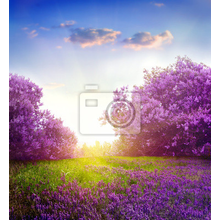 Фотообои с весенним пейзажем в фиолетовых тонах