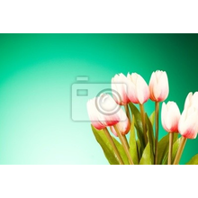 Фотообои с букетом тюльпанов