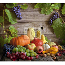 Фотообои с натюрмортом - Осенние фрукты и овощи