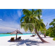 Фотообои с пальмой на тропическом пляже