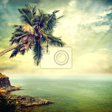 Фотообои в ретро стиле с пальмой и морем