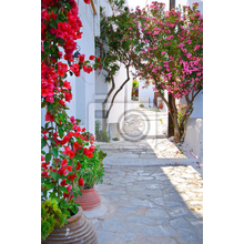 Фотообои с тихой улицей в Греции