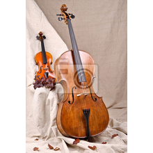 Фотообои со скрипкой и виолончелью