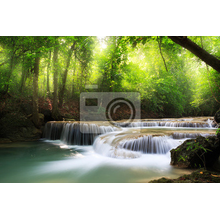 Фотообои с лесным водопадом (пейзаж)