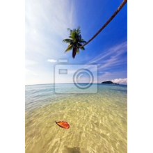 Фотообои с экзотическим тропическим пляжем