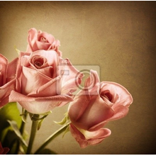 Фотообои с винтажными розами