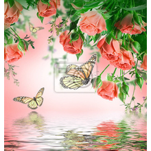 Фотообои с розами и бабочками