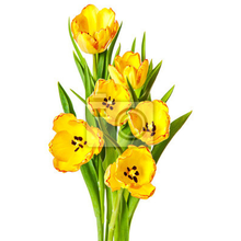 Вертикальные фотообои - Желтые тюльпаны