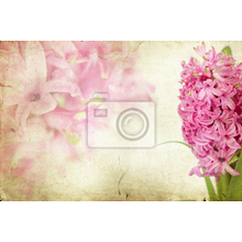 Фотообои на стену с розовыми гиацинтами