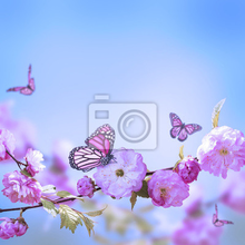 Фотообои с цветущей сакурой и бабочками