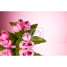 Фотообои "Букет розовых тюльпанов"