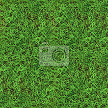 Фотообои - Текстура зеленой травы
