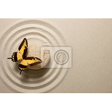 Фотообои в стиле дзен - Бабочка на камне