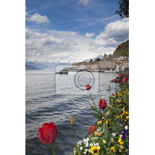 Фотообои - Тюльпаны возле моря
