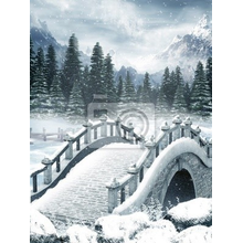 Фотообои "Фантастический мост в зимнем лесу"