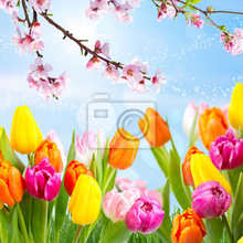 Фотообои с красочными разноцветными тюльпанами
