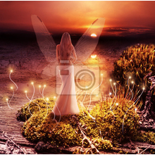 Фотообои - Волшебный мир феи на закате