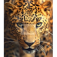 Фотообои с леопардом
