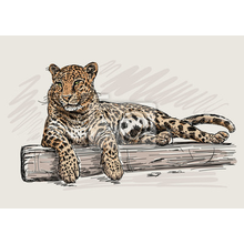 Фотообои с леопардом (креативный рисунок)