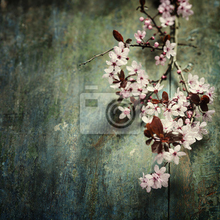 Фотообои в стиле ретро с цветущей вишней