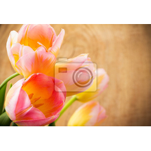 Фотообои с прекрасными тюльпанами