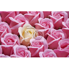 Фотообои на стену с нежными розами