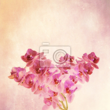 Фотообои - Нежный фиолетовый цвет с орхидеями