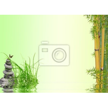 Фотообои - Бамбук в воде