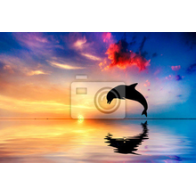 Фотообои - Прыжок дельфина на закате