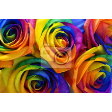 Фотообои - Разноцветные розы