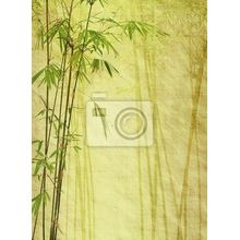 Фотообои - Бамбук на старой бумаге