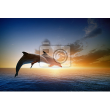 Фотообои - Дельфины в лучах солнца