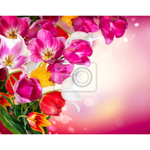 Фотообои - Весенние прекрасные цветы
