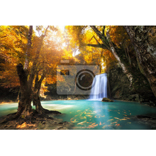 Фотообои - Водопад в глубоком лесу