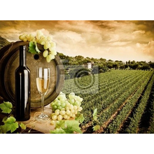 Фотообои - Вино и виноградник в винтажном стиле