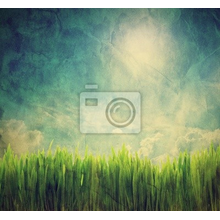 Фотообои - Ретро пейзаж с зеленой травой